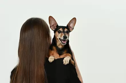 Питомец отказывается от еды?